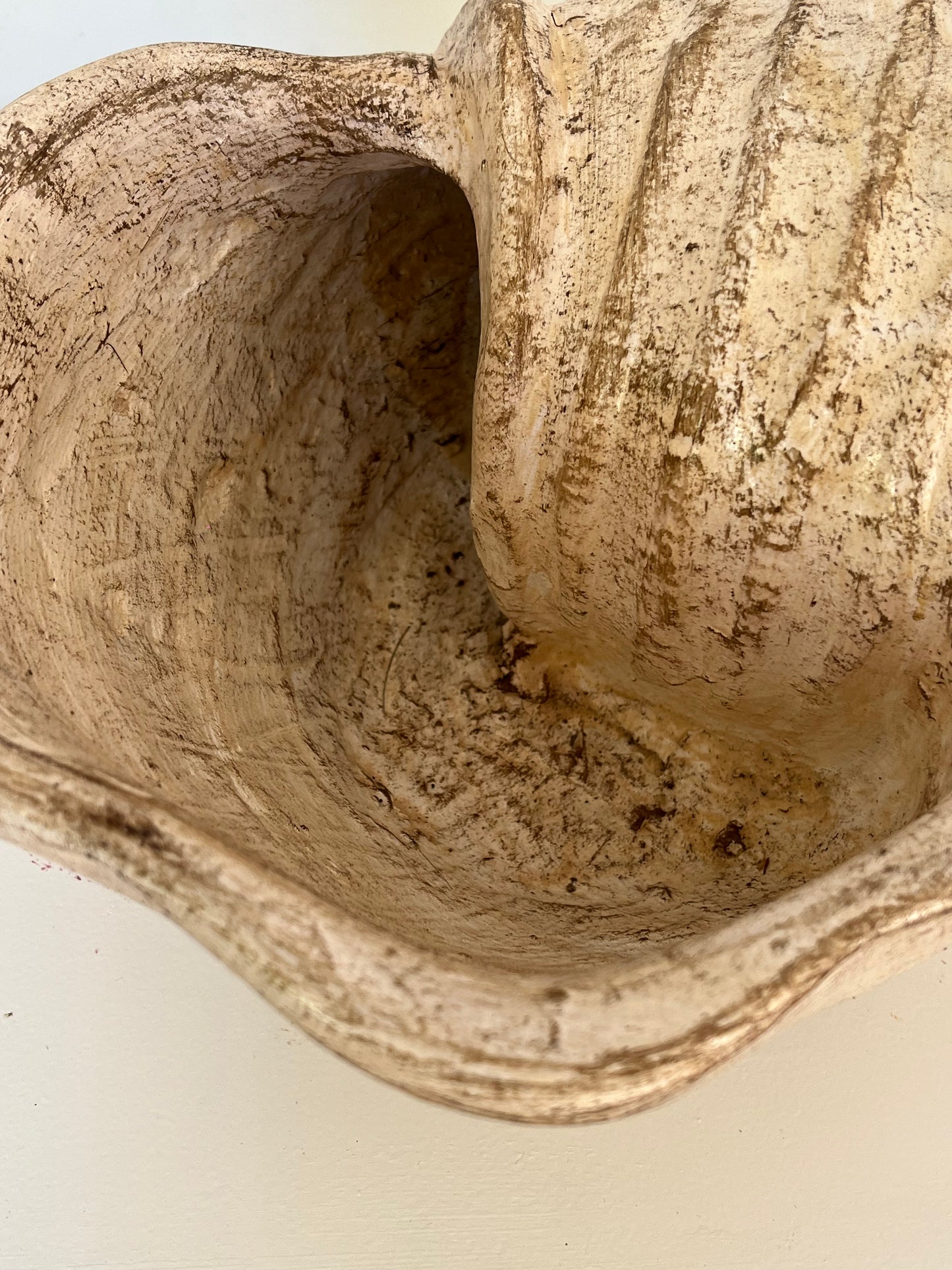 Small beige snail