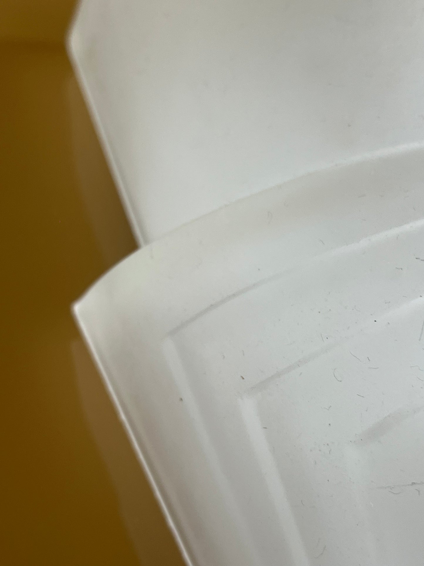 Wall sconce