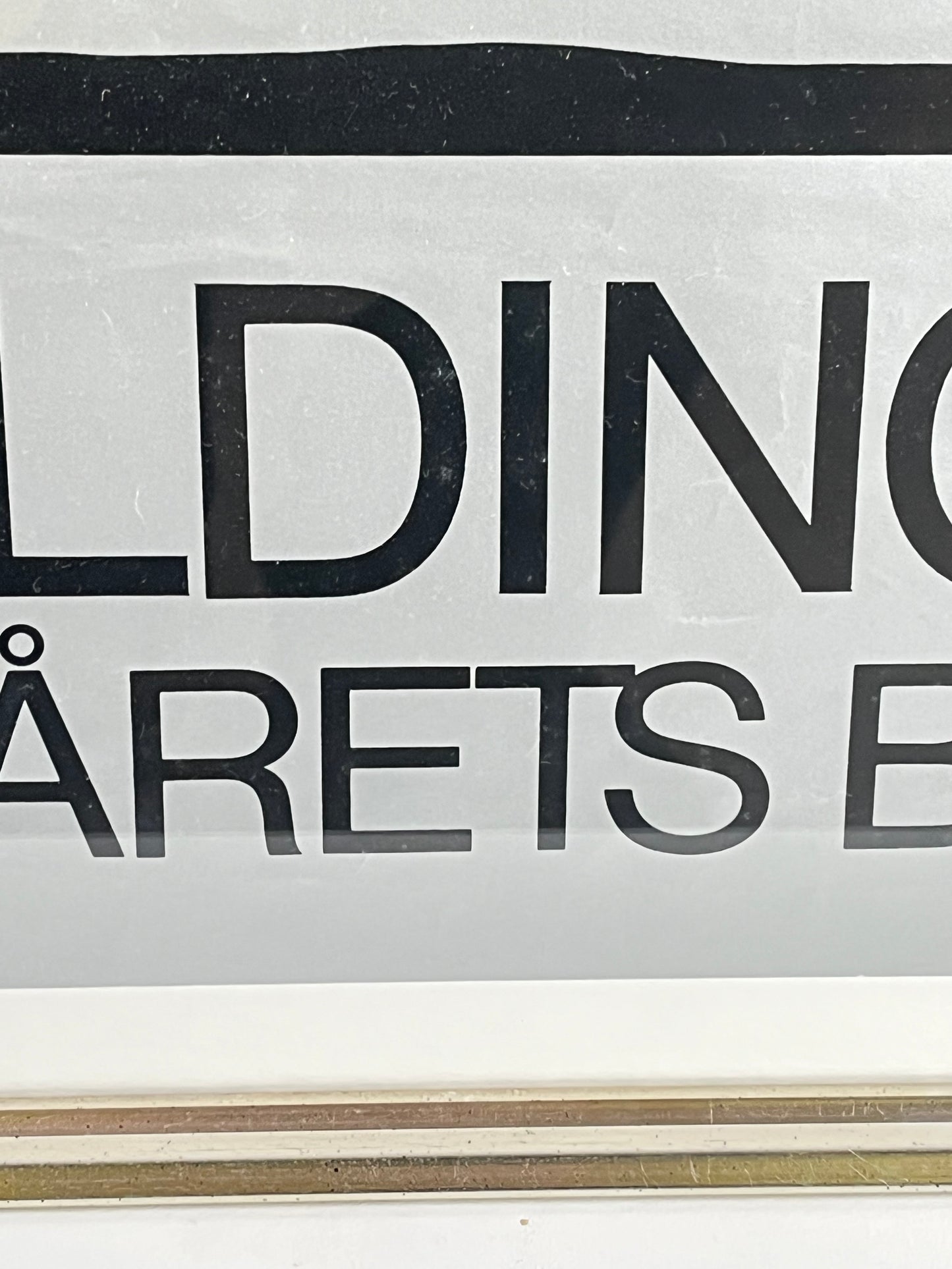 Robert Jacobsen Poster