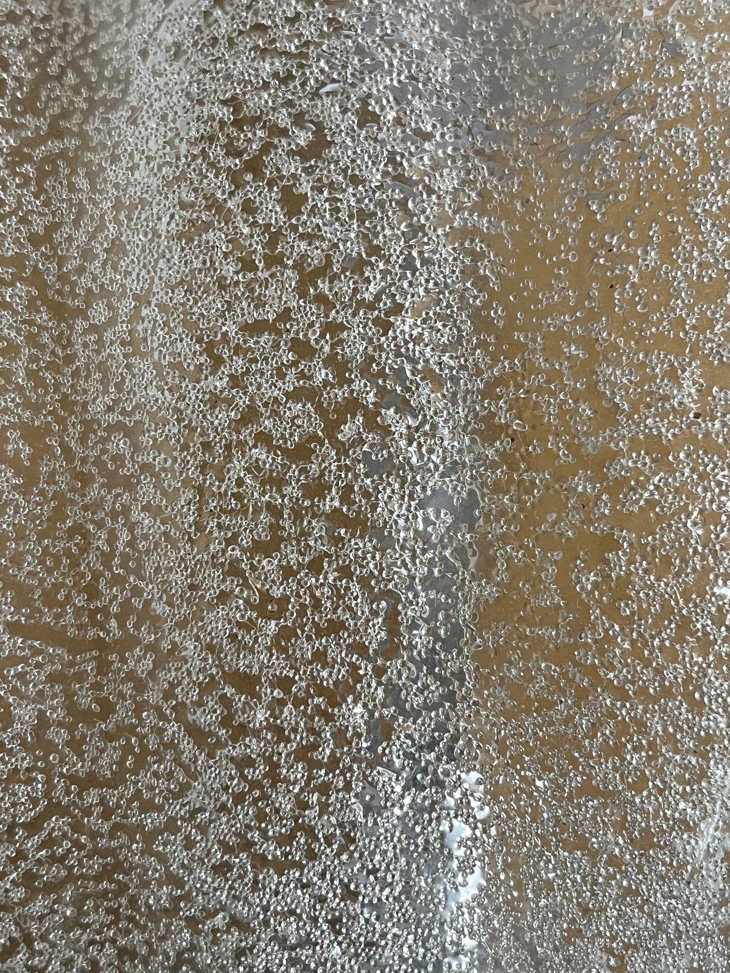 Murano wall lamp
