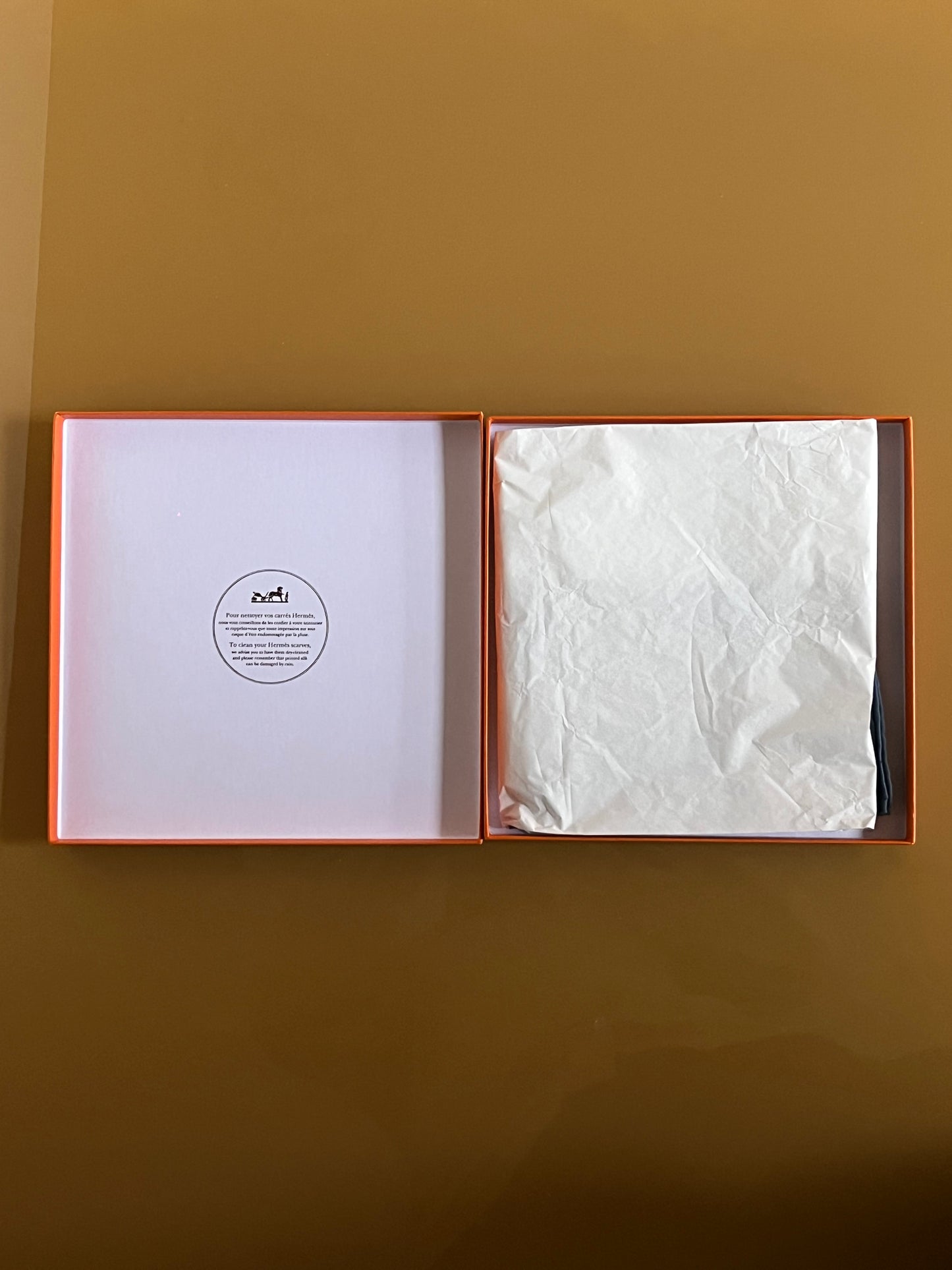 Hermes scarf. Cassandre.