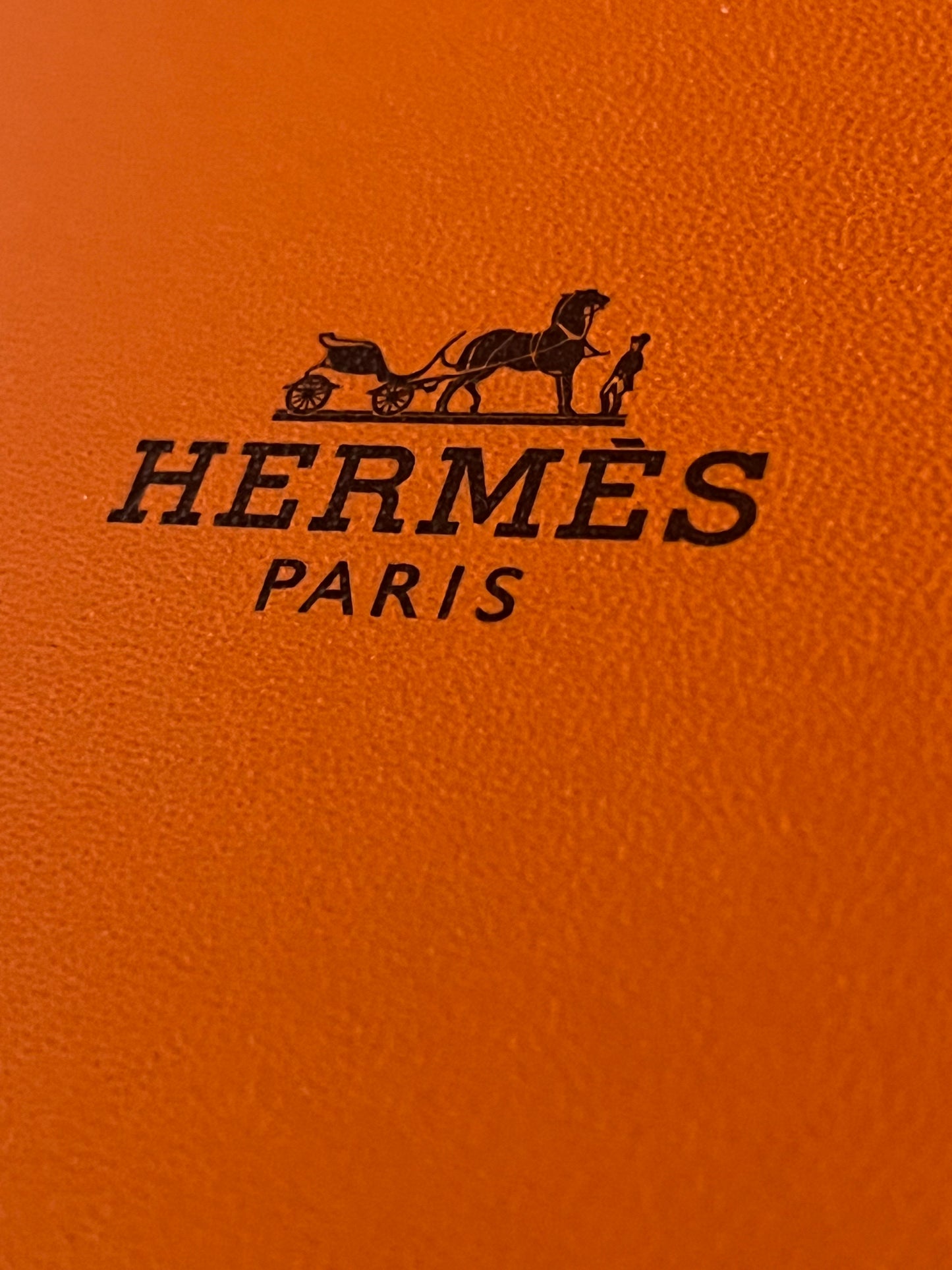 Hermes scarf. Cassandre.