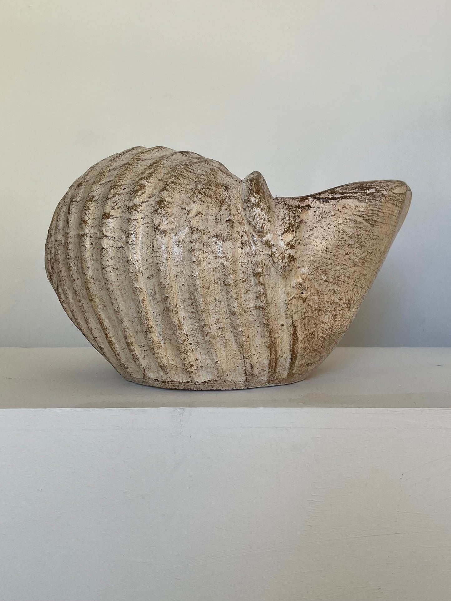 Small beige snail