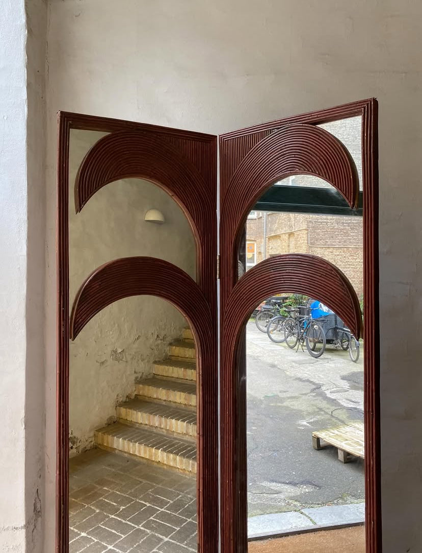 Palm mirror