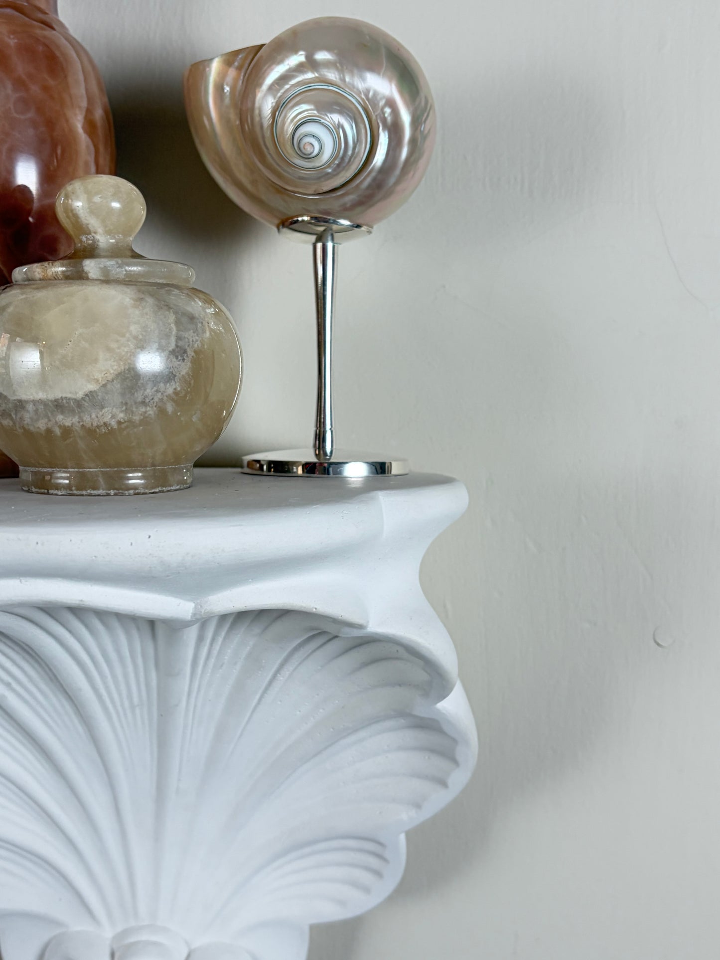 Shell shelf