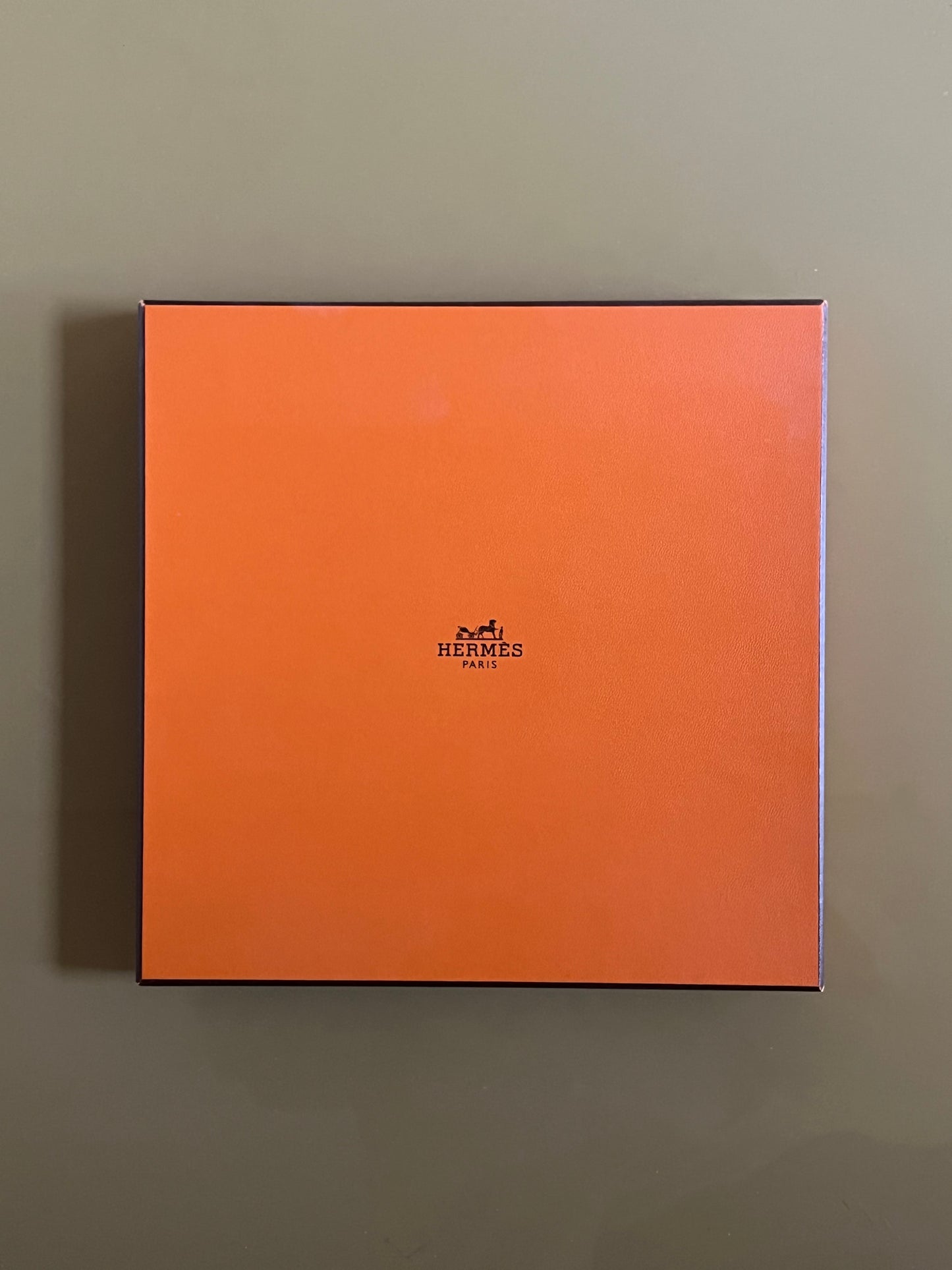 Hermes scarf. Cassandre.